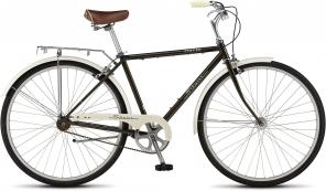 Новый экологичный и удобный Schwinn Coffee 1