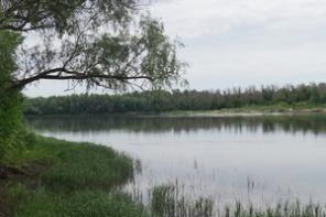 Собственник продаю 160 га