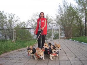 Предлогаю вам помощь выгул за деньги и обучению.и продаю щенка кобеля