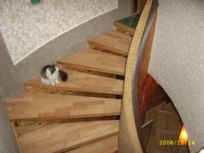Коттедж в Морозовке