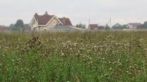 Продам 1.5 Га в поселке Глухово Ломоносовского рай