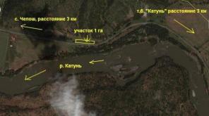 Горный Алтай. Земля 1 га. до Катуни 200 м. Цена 650 тыс. руб. Торг!!!