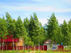 Участок 9 соток в дачном поселке "Синяя Птица"