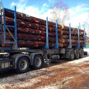 Покупаем кругляк сибирской лиственницы в регионах заготовки
