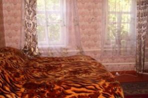 Кирпичный дом с участком 38 соток в Добровском районе Липецкой области