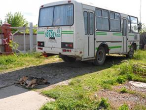 Паз 32054 хор сост 2005 выпуска