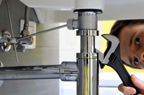 ������ ����������