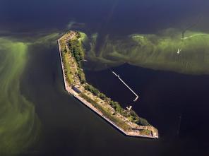 Морские прогулки на катере от собственника!