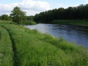 Участок 8 соток (СНТ), 309000 р., Дубрава