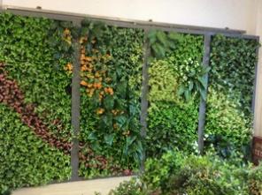 ����-����� �� ������������� ��������