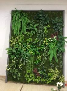 ����-����� �� ������������� ��������