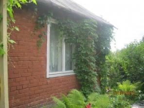 ������ ����