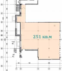 Торговое помещение, 251 м2