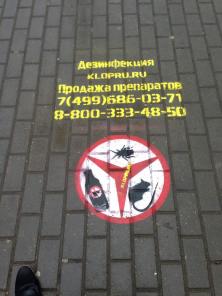 Уничтожение клопов в Москве