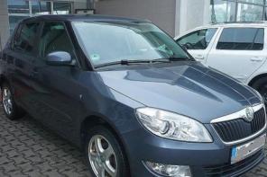  Skoda Fabia 2010