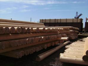Продажа оцилиндрованного бревна из Сибири