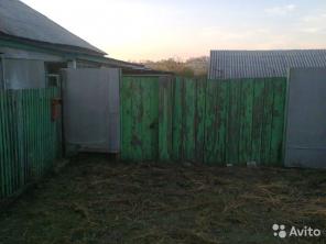 1-этажный дом 38 м2 (бревно) на участке 56 сот.,