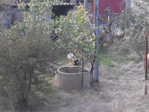 Продается без посредников очень недорого (дешево) дом-дача в Евпатории, Сосновый бор.