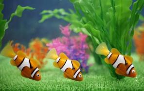 Продажа Роборыбок RoboFish, электронная рыбка робот