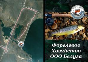 Платная рыбалка круглый год без выходных.