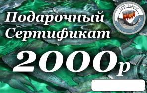 Платная рыбалка круглый год без выходных.