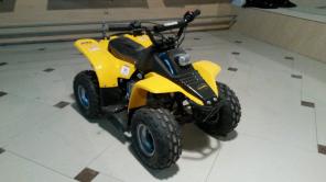 Детский квадроцикл Wombat 50