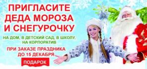 Дед Мороз и снегурочка на дом и корпоратив