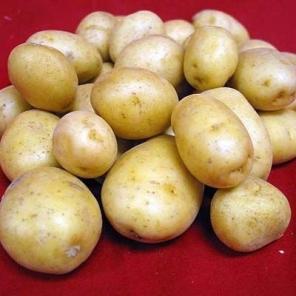 Картофель - мелкий, крупный опт. Суперцены