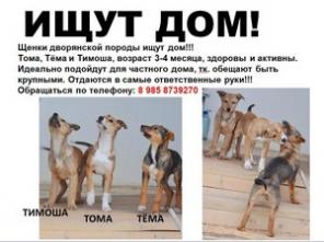 В самые ответственные руки!