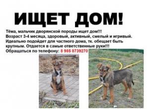 В самые ответственные руки!