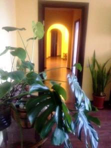 ����a� 3 �o��.��.� �.����� (B���C��K)