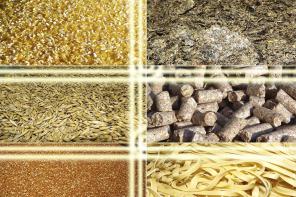Продажа корма для с/х животных и птиц
