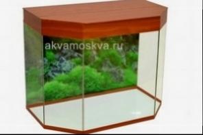 Аквариумы и акватеррариумы от 50 до 200 литров