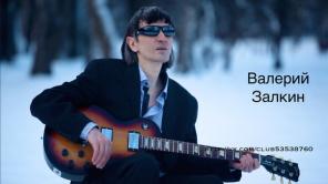 Валерий Залкин "Одинокая ветка сирени" артист на Ваш праздник