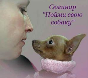 Пойми свою собаку.