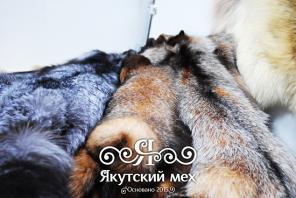 Шкуры полярного волка, рыси, лисы и многое другое