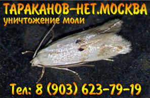 Уничтожение мукоедов, блох, постельных клопов за один раз.