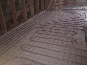 ������ ���