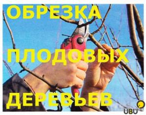 Профессиональная обрезка плодовых деревьев и кустарников.