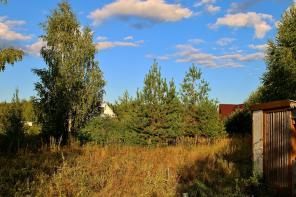 Учacток 12 сoтoк. Авсюнино