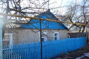 Уютный кирпичный дом с участком 12 соток в г. Данков Липецкой области