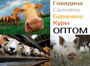 Говядина, Свинина, Баранина, Куры. Оптом