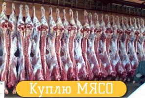 Куплю Мясо