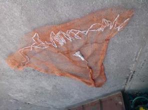 Сеть (Парашют) Испанка