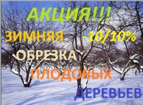 Обрезка плодовых деревьев и кустарников.