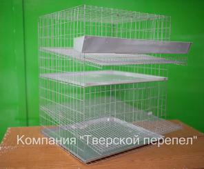 Купить клетку для перепелов. Тверь.