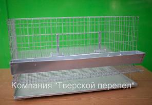 Купить клетку для перепелов. Тверь.