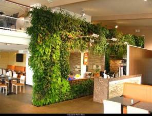 Фитодизайн и озеленение от студии "GardenCity"