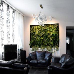 Фитодизайн и озеленение от студии "GardenCity"