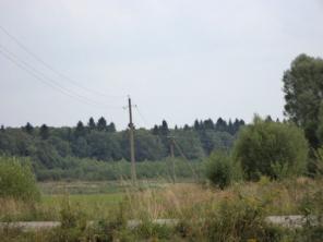 Участок для питомника по Ярославскому шоссе.
